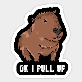 Ok I Pull Up - Capybara Meme Sticker